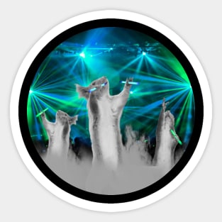 Squirrel Rave 1 Sticker
